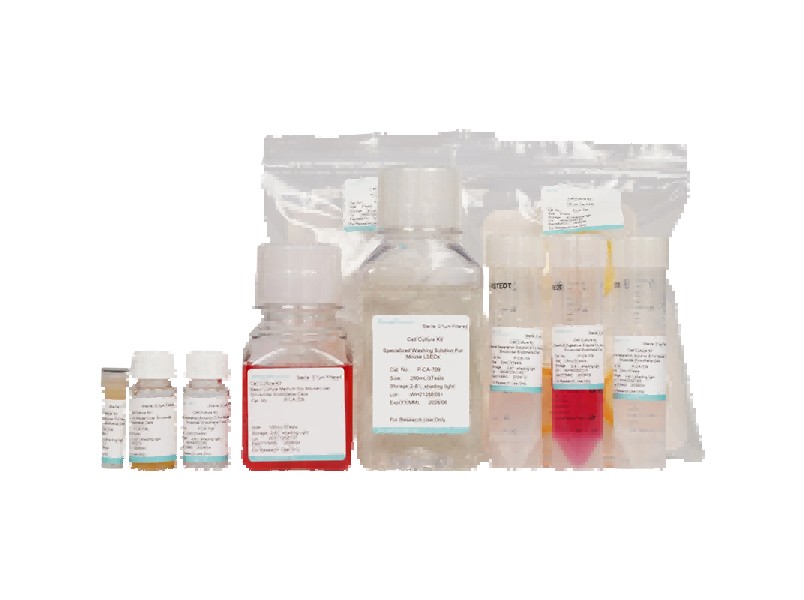 Mouse Liver Sinusoidal Endothelial Cell Isolation and Culture Kit