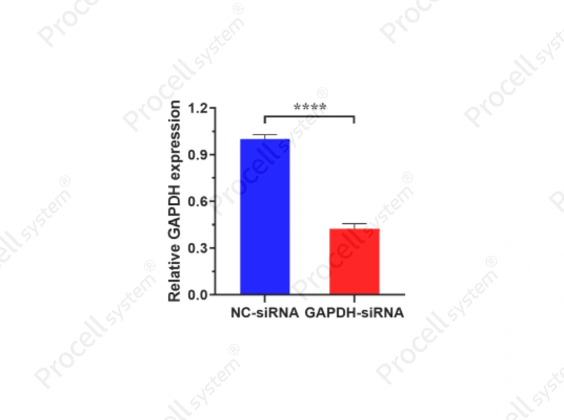 Mergene1000<sup>&reg;</sup> RAW 264.7 Cell-Specific siRNA Transfection Reagent - 2