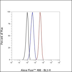 Recombinant ATG4B Monoclonal Antibody - small - 4