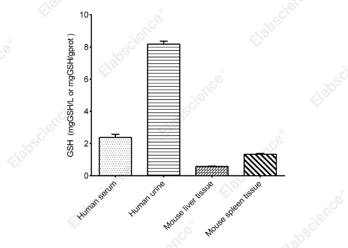 Reduced Glutathione (GSH) Colorimetric Assay Kit - 2