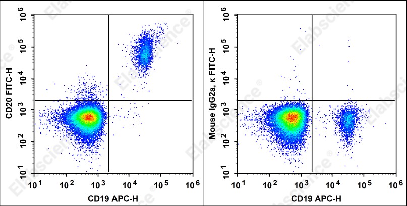 FITC Anti-Human CD20 Antibody[HI20a] - 1