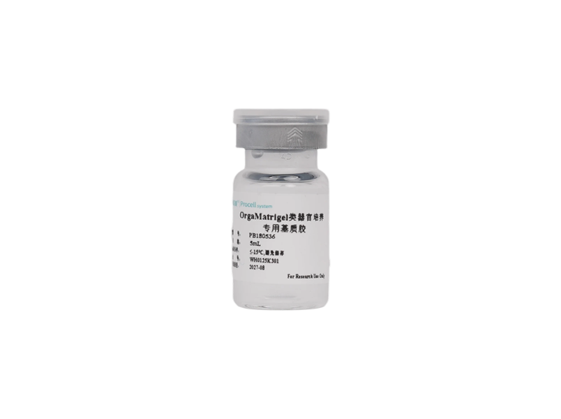 OrgaMatrigel Organoid Culture Specialized Matrix-searchlist-1