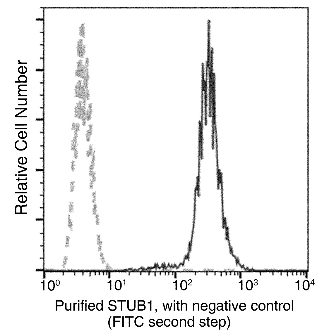 Recombinant STUB1 Monoclonal Antibody - small - 1