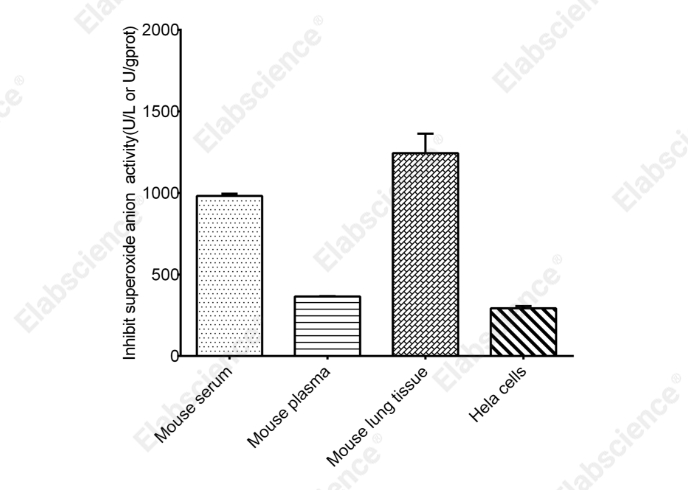 Inhibition And Production Of Superoxide Anionic Colorimetric Assay Kit (WST-1 Method) - 2