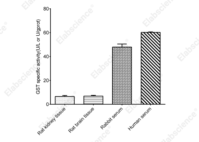 Glutathione-S-Transferase (GST) Activity Assay Kit (DTNB Method) - 2