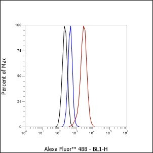 Recombinant GLUT2 Monoclonal Antibody - small - 2