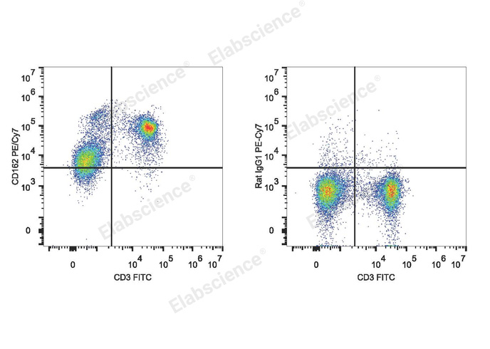 C57BL/6 murine splenocytes are stained with PE/Cyanine7 Anti-Mouse CD162 Antibody and FITC Anti-Mouse CD3 Antibody (Left). Splenocytes stained with FITC Anti-Mouse CD3 Antibody and PE/Cyanine7 Rat IgG1 Isotype Control (Right) are used as control.