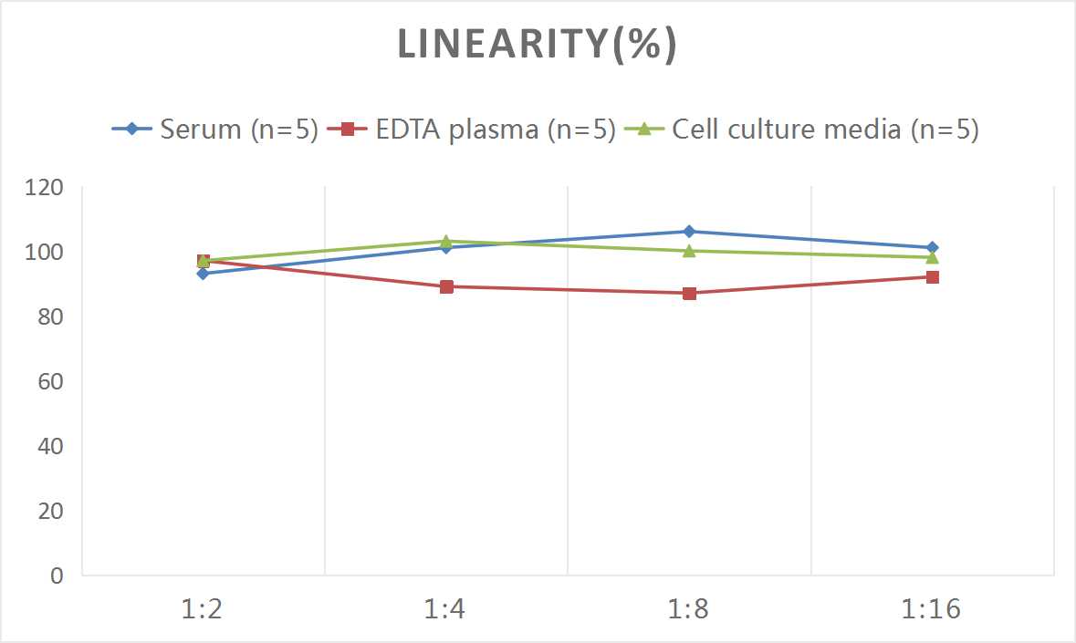 Human EGF(Epidermal Growth Factor) ELISA Kit-产品推荐-9