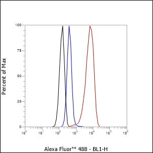 Recombinant CHD3 Monoclonal Antibody - small - 4