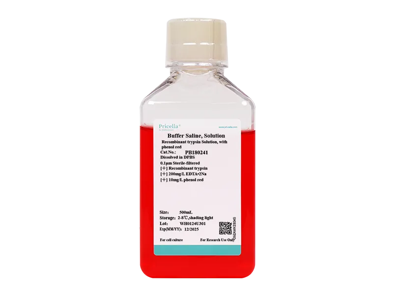 Recombinant trypsin Solution, with phenol red - small - 2