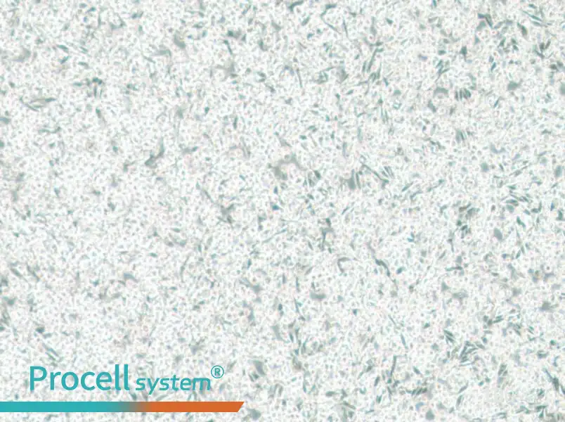 ARD Cell Complete Medium - 1