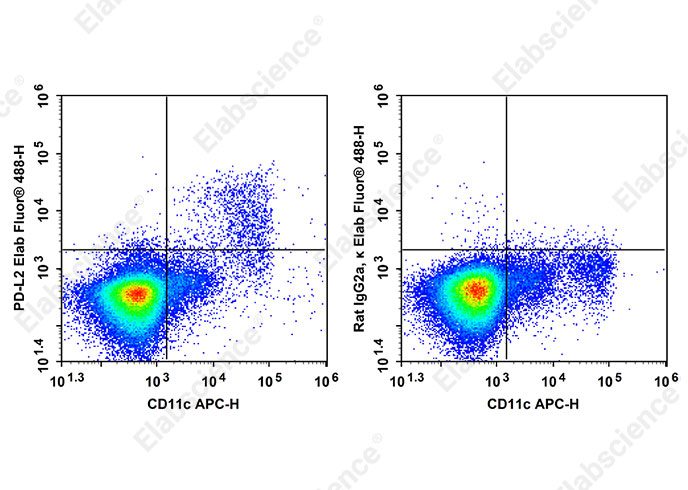 Elab Fluor<sup>®</sup> 488 Anti-Mouse PD-L2 Antibody[TY25]-searchlist-1
