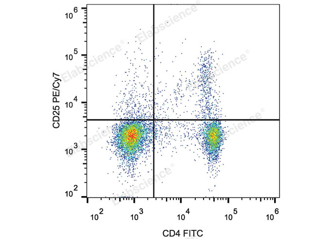 C57BL/6 murine splenocytes are stained with FITC Anti-Mouse CD4 Antibody and PE/Cyanine7 Anti-Mouse CD25 Antibody.