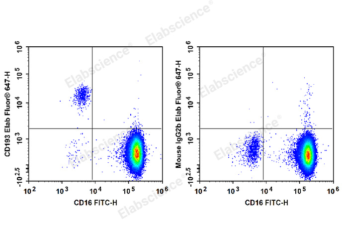 Human peripheral blood granulocytes are stained with FITC Anti-Human CD16 Antibody and Elab Fluor® 647 Anti-Human CD193/CCR3 Antibody (Left). Granulocytes are stained with FITC Anti-Human CD16 Antibody and Elab Fluor® 647 Mouse IgG2b,κ Isotype Control (Right).