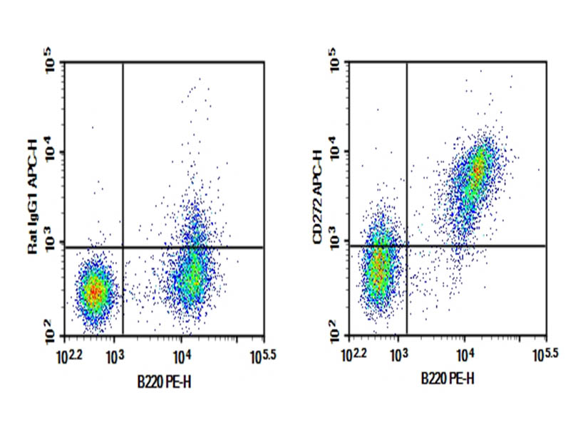 Purified Anti-Mouse CD272/BTLA Antibody[PK18.6] - 1