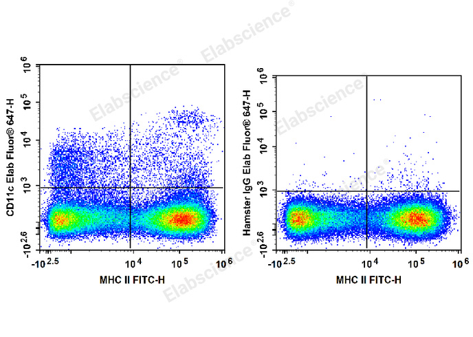 C57BL/6 murine splenocytes are stained with FITC Anti-Mouse MHC II Antibody and Elab Fluor® 647 Anti-Mouse CD11c Antibody (Left). Splenocytes are stained with FITC Anti-Mouse MHC II Antibody and Elab Fluor® 647 Armenian Hamster IgG Isotype Control (Right).