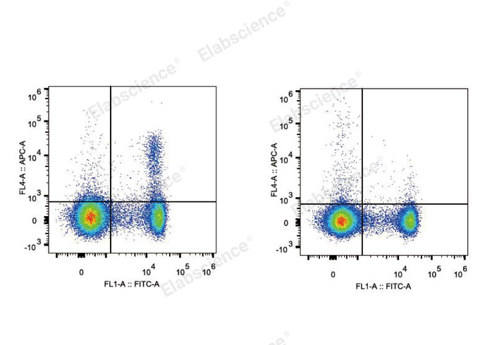 C57BL/6 murine splenocytes are stained with APC Anti-Mouse CD25 Antibody and FITC Anti-Mouse CD4 Antibody (Left). Splenocytes stained with FITC Anti-Mouse CD4 Antibody and Rat IgG1 Isotype Control APC (Right) are used as control.