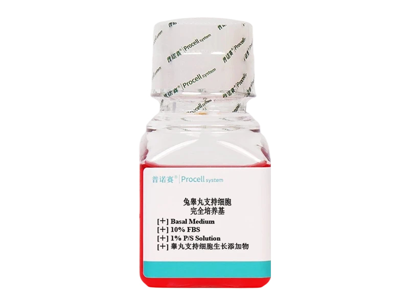 https://789.bio/ec/g06Vnf6r