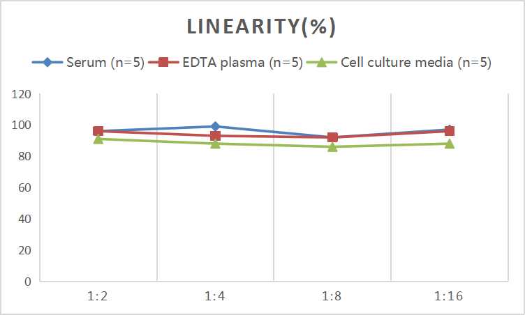 Mouse DKK3 (Dickkopf Related Protein 3) ELISA Kit - small - 2