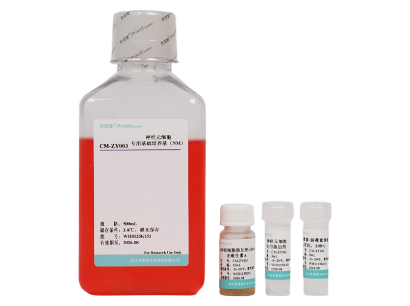 Neuronal Medium (NM)-searchlist-1
