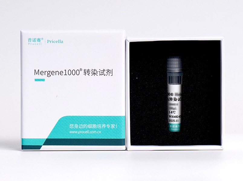https://789.bio/ec/g4vN2SrQ