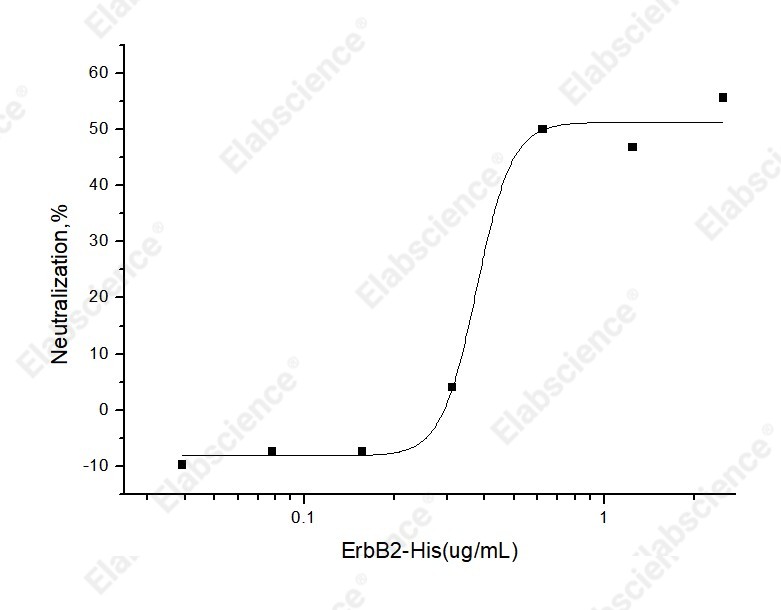 Recombinant Human HER2/ErbB2 Protein (His Tag) - 5