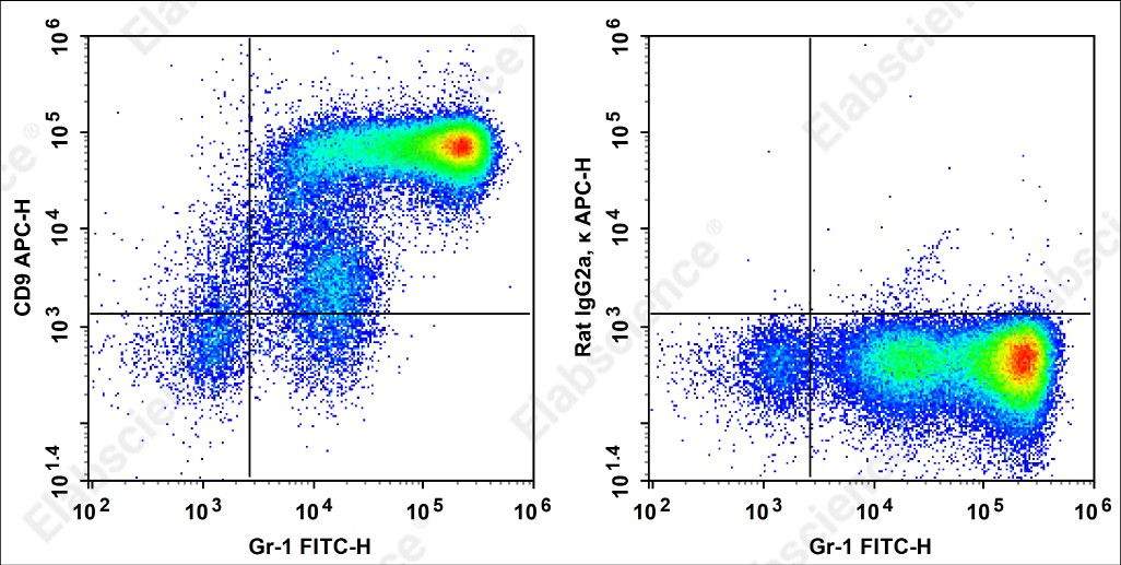 APC Anti-Mouse CD9 Antibody[MZ3] - 1