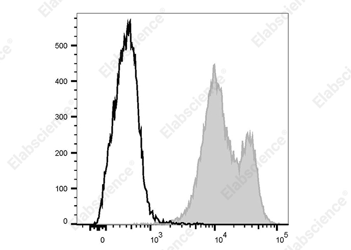 FITC Anti-Rat CD38 Antibody[14.27] - 1