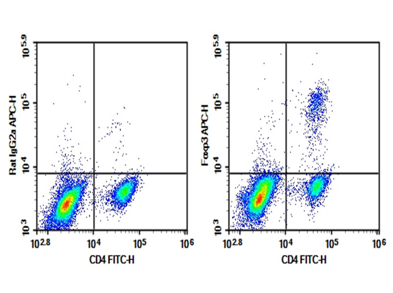 Purified Anti-Mouse Foxp3 Antibody[FJK-16s]-searchlist-1