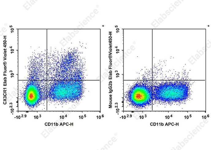 Elab Fluor<sup>®</sup> Violet 450 Anti-Mouse CX3CR1 Antibody[SA011F11]-searchlist-1