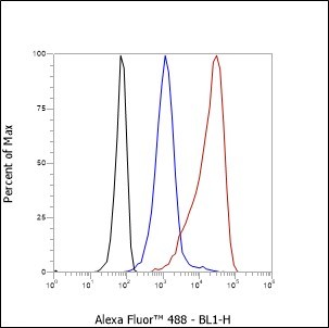 Recombinant FUBP1 Monoclonal Antibody - small - 9