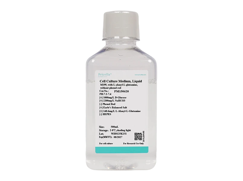 M199, with L-alanyl-L-glutamine, without phenol red