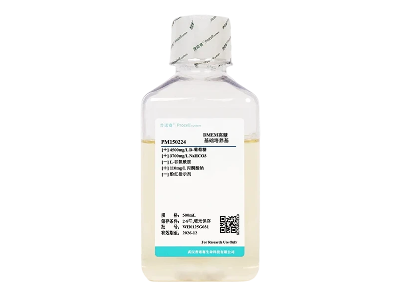https://789.bio/ec/gNwSuW8z