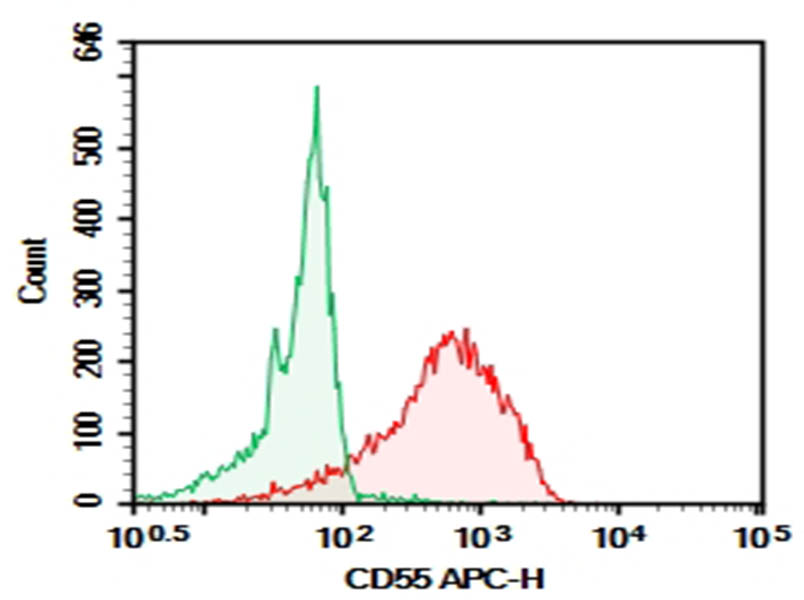 Purified Anti-Human CD55 Antibody[HI55a]-searchlist-1