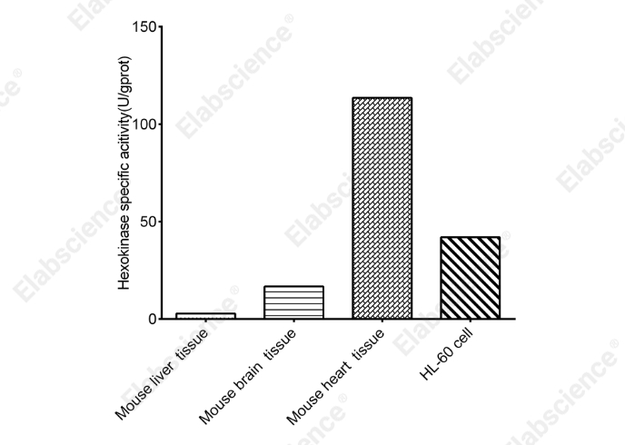 Hexokinase (HK) Activity Assay Kit - 2