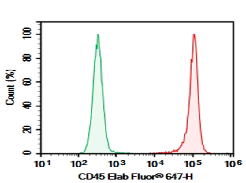 Purified Anti-Rat CD45 Antibody[OX-1]-1