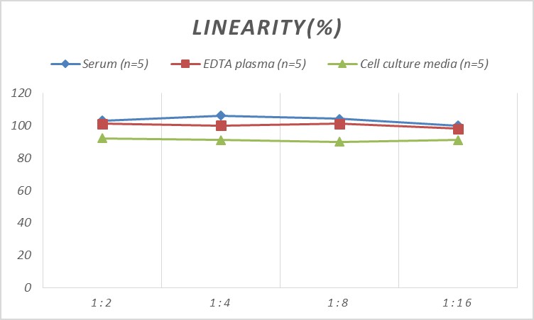 Human Bcl-2(B-cell Leukemia/Lymphoma 2) ELISA Kit-产品推荐-3