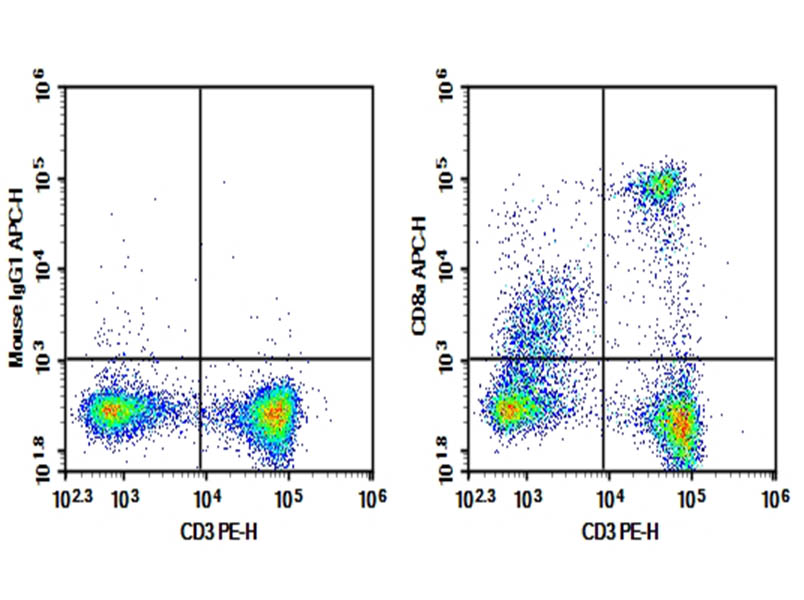 AF/LE Purified Anti-Rat Cd8a Antibody[OX-8]-searchlist-1