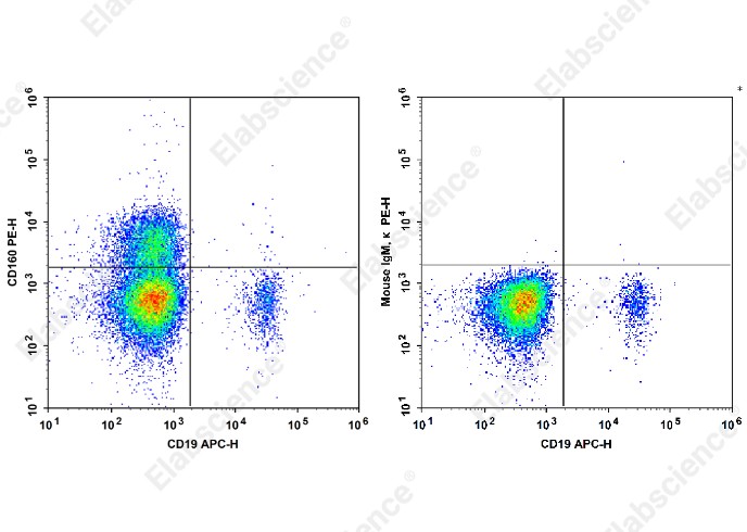 PE Anti-Human CD160 Antibody[BY55] - 1