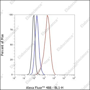 Recombinant SOX11 Monoclonal Antibody - 4