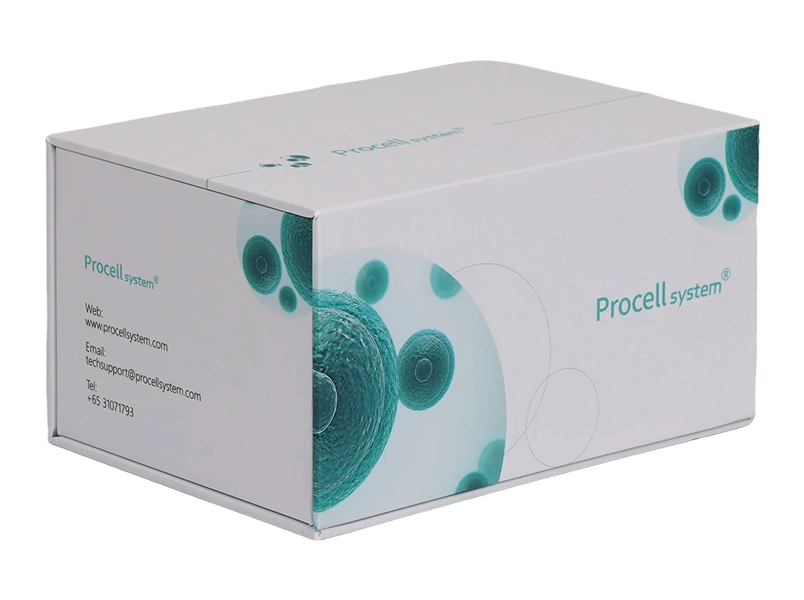Procell Fluor 555-11-dUTP