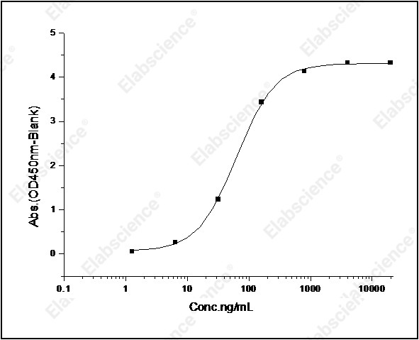 Recombinant Human IL1R2/CD121b Protein (Fc Tag) - 2