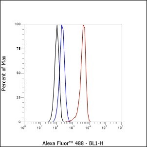 Recombinant NELF-B Monoclonal Antibody - small - 5