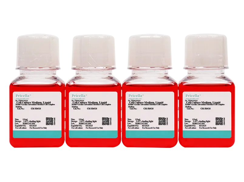Rabbit Vascular Adventitial Fibroblast Cell Complete Medium - small - 2
