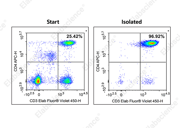 EasySort™ Human CD4+ T Cell Isolation Kit-searchlist-2