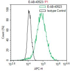 HA-Tag Polyclonal Antibody - 2