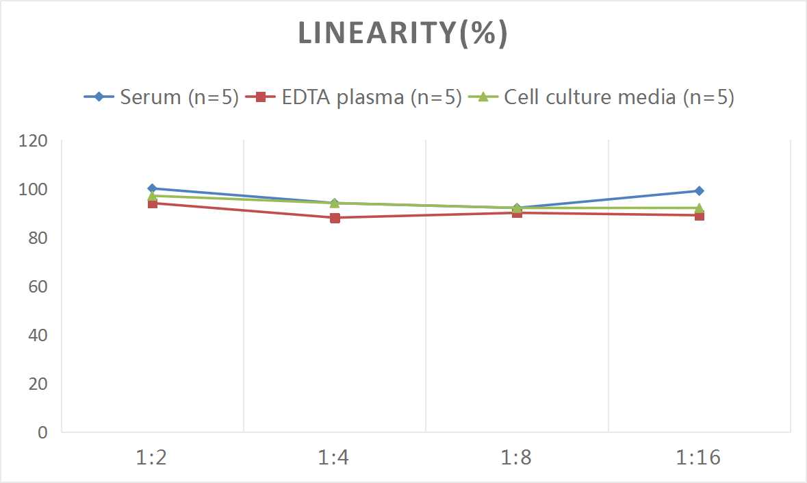 Rat TNF-α(Tumor Necrosis Factor Alpha) ELISA Kit-产品推荐-6