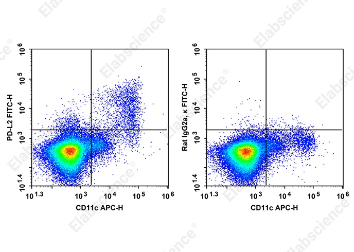 FITC Anti-Mouse PD-L2 Antibody[TY25]-searchlist-1