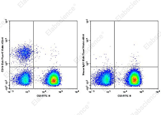 Elab Fluor® Violet 450 Anti-Human CD19 Antibody[SJ25C1]-1
