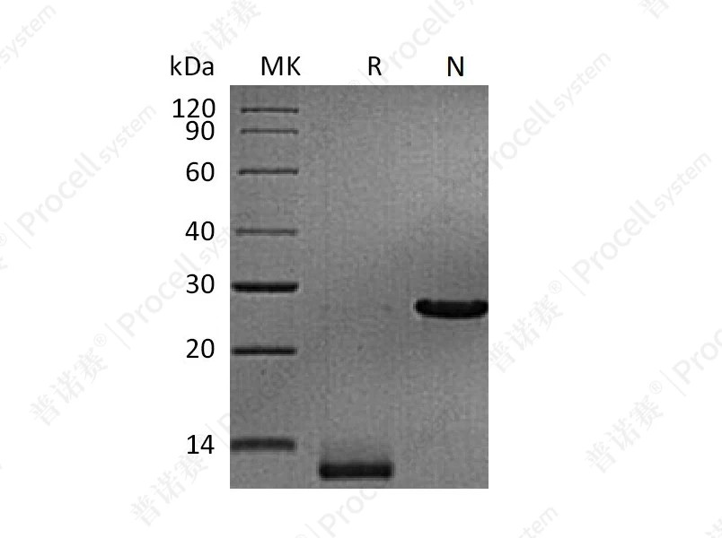 https://789.bio/ec/h1piW9